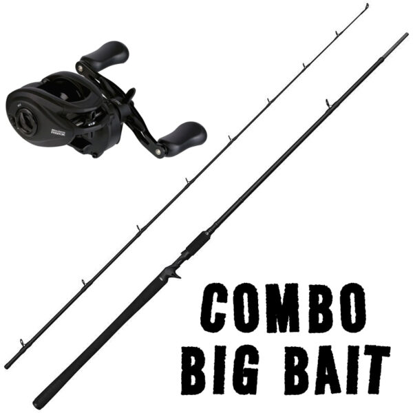 COMBO Casting Carnassier Big Bait Canne Savage Gear & Abu Garcia