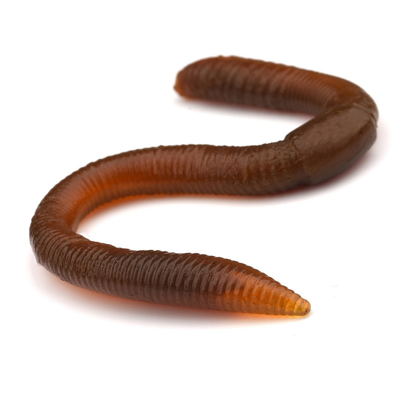 SPRO Freestyle Twitch Worm